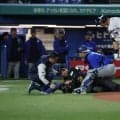 ヤクルトが負傷の球審へお見舞い　異例の対応…バット直撃に「早いご回復をお祈り申し上げます」