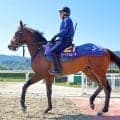 【皐月賞・金曜調整】武豊騎手と新コンビで挑むロードフィレールは好気配　陣営「気合が入ってましたね」