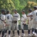飯能が私学撃破で10年ぶりの春季県大会出場！部員も5年前の5人から50人の大世帯に【埼玉】
