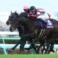 【皐月賞】ロブチェンは2枠4番…レーン騎乗カヴァレリッツォは最内枠へ