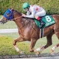アンタレスSは人気馬が堅実 ローテーションに注目