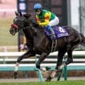 【中山GJ予想】上半期の最強ジャンパー決定戦 過酷な4260mを制するのは