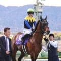 現役のディープインパクト産駒で重賞勝ち馬は１頭のみに　重賞２勝のヨーホーレイクが現役引退　