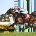 【競馬予想】皐月賞は「中山・芝2000ｍ」での種牡馬の勝率に注目　名馬と血統構成が似た１頭もチャンス十分