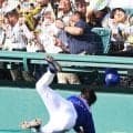 【中日】福永裕基が救急車で搬送…球審負傷受け阪神藤川監督「健康でプレーを」と祈っていた