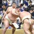 藤青雲、プチ感無量　初の大関以上との三番稽古「本当にありがたいことで、少しうれしかった」…大関・霧島には４勝８敗