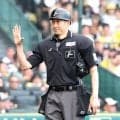 全６試合で球審がヘルメット着用　ＮＰＢが指示「安全のために速やかに着用しましょうと」　１６日の試合で球審が頭を負傷