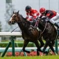【中山6R】コントレイル産駒 ルージュボヤージュが激戦を制する
