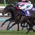 霜降り明星・粗品はロブチェンを信頼 3連単＆3連複で勝負だ