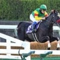 【中山グランドＪ】エコロデュエル連覇でＪＧ１・３連勝　草野太郎騎手「とんでもない強さでした」