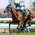 【福島牝馬S予想】ツーターンの福島芝1800m 機動力が明暗を分ける