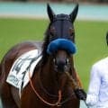 「ウマ娘」藤田晋オーナーのイナズマダイモン 初勝利からの連勝なるか
