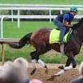 【オークローンＨ】昨年の米国年度代表馬のソヴリンティが負けた　４連勝でストップ　７歳ホワイトアバリオが復活Ｖ