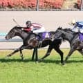 【皐月賞】松山弘平騎手が２週連続クラシック勝利　１番人気のホープフルＳ覇者のロブチェンが衝撃のレコードＶ