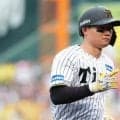 阪神・森下翔太、死球に苦悶　甲子園ブーイング…打席で崩れ落ちる→一度下がるも復帰