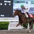 【高知・スピカ特別】スカンジナビアが7馬身差圧勝…高知転入後無傷の6連勝