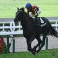 【青葉賞】ブラックオリンピア、ノーブルサヴェージなどが登録