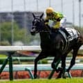 【中山5R】武豊マーゴットブローが抜け出しV…断然人気グリオンヴールは8着