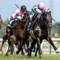 JRAでは3重賞 香港チャンピオンズデーに日本馬6頭出走/今週の競馬界の見どころ