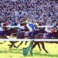 【小島太元調教師の競馬ジャーナル】ロブチェン１番人気で皐月賞を逃げ切ったのは力がある何よりの証し