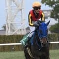 【フローラS見どころ】牡馬相手に健闘してきたラフターラインズが2勝目を挙げる