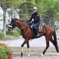 【青葉賞・浅子の特注馬】報知杯弥生賞は４着で皐月賞に届かず　タイダルロックは馬場の広い東京コースでこそ
