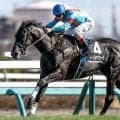 【青葉賞想定騎手】ノーブルサヴェージはD.レーン騎手、ブラックオリンピアは川田将雅騎手