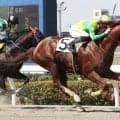 【地方競馬】シャベス騎手が来日初勝利