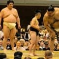 子ども力士たち、高安関に挑戦だ！　大相撲春巡業　石岡場所