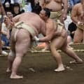 朝乃山「若くて重い」熱海富士らと12番取って８勝　古傷の左ひざサポーターなし