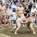 朝乃山が連日の申し合い参加で８勝４敗、熱海富士らと充実稽古「重くて若い力士とできて良かった」