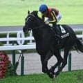 【青葉賞予想オッズ】ブラックオリンピアが予想1番人気