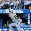 【阪神】若虎福島圭音、プロ初打点含む走攻守で持ち前のガッツ披露！10試合ぶりスタメンで躍動