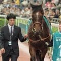 モーリス快走から10年 日本馬唯一のチャンピオンズM制覇