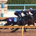 【天皇賞・春・１週前】クロワデュノールはＧ１連勝へ気合注入デモ　斉藤崇調教師「これで上がってくると思います」