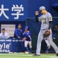 【阪神】茨木秀俊、５回途中９安打５失点でプロ２勝目ならず　５点援護受けるも
