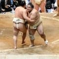 横綱豊昇龍の助言＆大関霧島に胸出される、土俵下には元武双山！ヘトヘトの藤凌駕「感謝ですね、ぜいたく」【大相撲】