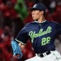 池山ヤクルトに現れた「左の柱」…開幕4戦負けなし、“打てる投手”にファンも反応「最多勝争いだな！」「燕の左エースですね」