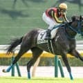 【フローラS出走馬・騎手確定】ラフターラインズ＆D.レーン騎手、ファムクラジューズ＆横山武史騎手など13頭
