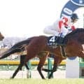 【注目馬動向】３連勝中のダノンセンチュリーは京王杯ＳＣへ　２度目の重賞挑戦は初の１４００メートル
