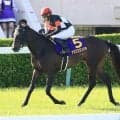 【岩田康誠の熱血！！競馬道】連覇を狙う読売マイラーズＣはシャンパンカラー「今回も自分の競馬に徹するだけ」