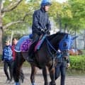 【フローラＳ】レーン騎手と初コンビのラフターラインズは４枠５番　初戦圧勝のラベルセーヌは２枠２番