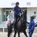 【青葉賞】２戦２勝のノーブルサヴェージは７枠１５番　アザレア賞勝ち馬のブラックオリンピアは２枠４番　枠順確定