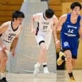 【第75回関東大学バスケットボール選手権展望】白鴎大・東海大が2強形成か　日本体育大は試練の4連覇挑戦