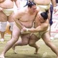 【大相撲春場所】首痛の幕内・藤ノ川が復帰　いきなり稽古で８番　「怖さはないがやり過ぎると後遺症になってしまう」