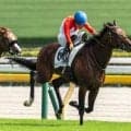【青葉賞予想】ダービーへの直行切符かけた一戦 中4週への変更が変化もたらすか