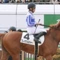 ロイヤルファミリー役の初勝利に競馬ファン興奮「叫んだわい」「すごい」　ブレイヴソルジャーが砂でガラリ一変！