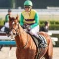 土曜京都競馬場の注目激走馬…京都１１Ｒ天王山ステークス