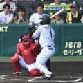 阪神　森下翔太が死球受け甲子園が騒然　スタンドから怒号も　藤川監督が心配そうにベンチを出る　プレー続行で大きな拍手