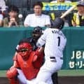 【阪神】森下翔太が左手首付近に死球受けるも出場続ける　甲子園の虎党から拍手